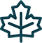 Maple leaf icon