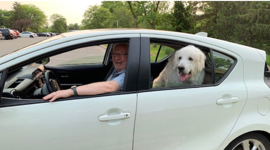 Joyce-Wayne's-Dog-in-a-car