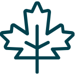 Green maple leaf icon