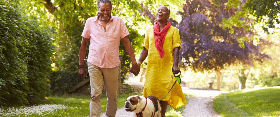 A couple walking their dog hand in hand