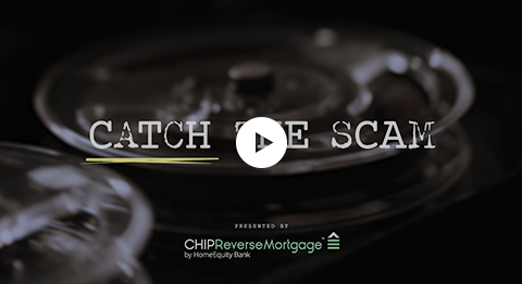 Video still of Catch the Scam