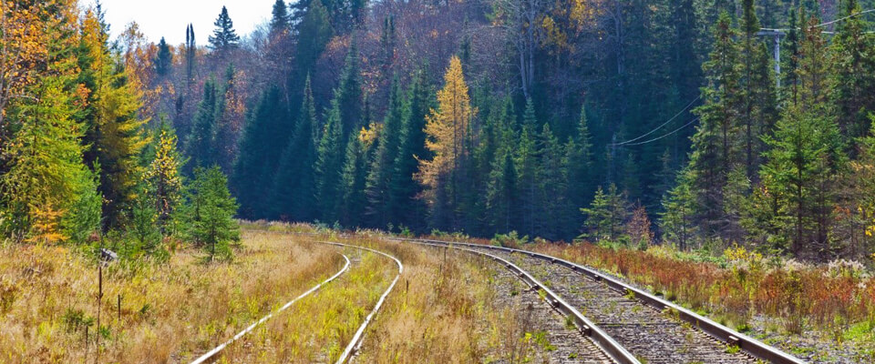 Train Travel Gives Ample Opportunity To Reflect on Life’s Happenings